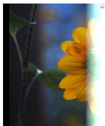 SIGMA PHOTO PRO 4.0 - Désintégration - 1