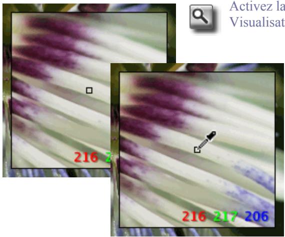 SIGMA PHOTO PRO 4.0 - Utilisation de la loupe - 1