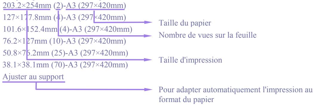 SIGMA PHOTO PRO 4.0 - Taille d'impression - 1