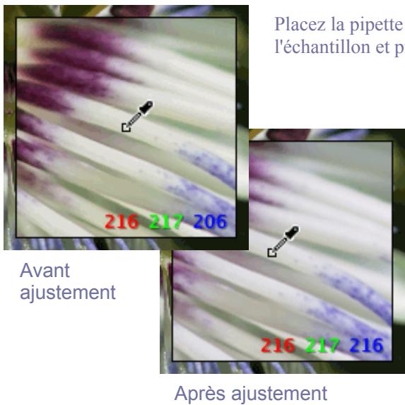 SIGMA PHOTO PRO 4.1 - Utilisation de la Pipette d'AJustement de la couleur - 2