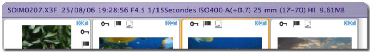 SIGMA PHOTO PRO 4.1 - Information sur l'Image - 1