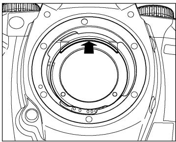 SIGMA SD15 - 1 - 1