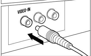 SIGMA SD15 - VISUALISATION SUR UN ECRAN TV - 2