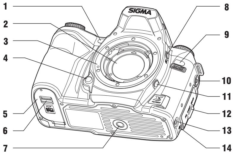 SIGMA SD15 - CARTE MEMOIRE SD ET CARTE MULTIMEDIA (VENDUES SEPAREMENT) - 2