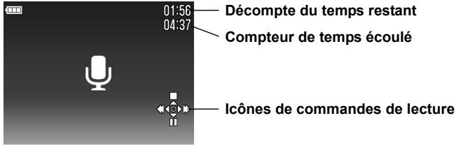 SIGMA DP1X - Ecran de lecture du son - 1