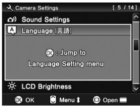 SIGMA DP1X - MISE EN GARDE! - 3