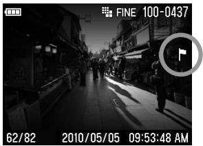 SIGMA DP1X - 4 - 1