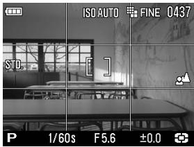 SIGMA DP1X - VISUALISATION - 1