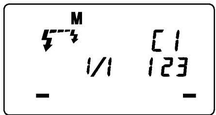 SIGMA EM-140 DG - Master Unit's Setting - 1