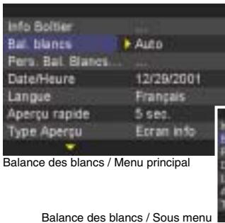 SIGMA SD9 - Un grand choix de balances des blancs - 1