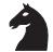 SAITEK JUNIOR MASTER CHESS - Symboles et affichages d'un seul COUP d'oeil! - 16