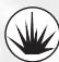 GAMES PC ACT OF WAR-DIRECT ACTION - CAPACITÉS SPECIALES : - 4