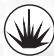 GAMES PC ACT OF WAR-DIRECT ACTION - CAPACITÉS SPECIALES : - 3