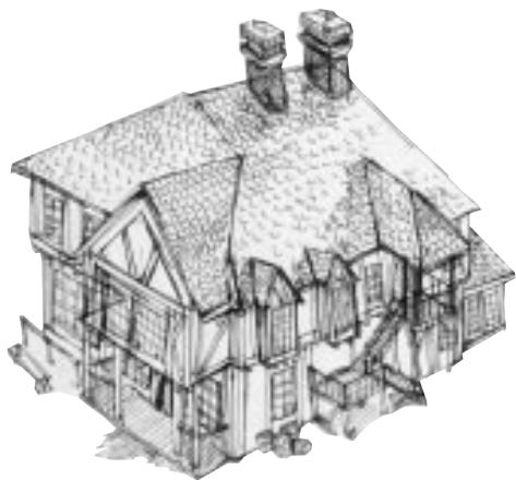 GAMES PC AGE OF EMPIRES II-THE AGE OF KINGS - To explore deep into the black area of the map - 2