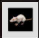 GAMES PC COMMANDOS 2-MEN OF COURAGE - Spike le rat - 1