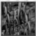 GAMES PC COSSACKS - ASSOEMENT - 1