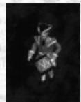 GAMES PC COSSACKS - Améliorations : - 1