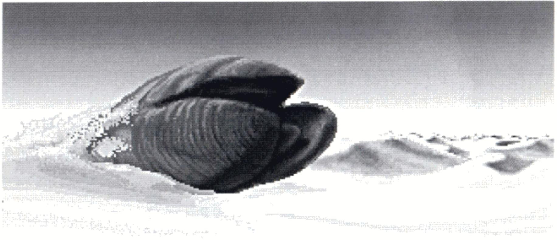 GAMES PC DUNE - PATRICK DUBLANCHET - 1