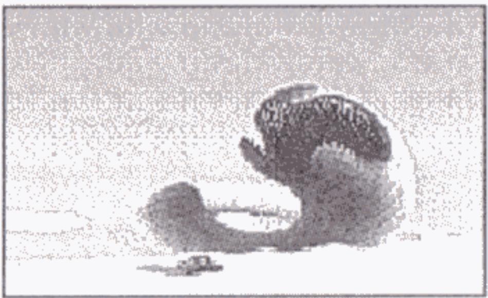 GAMES PC DUNE 2-THE BATTLE FOR ARRAKIS - Ornithoptère: - 1