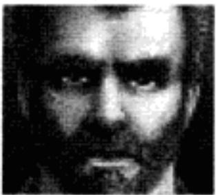 GAMES PC JAGGED ALLIANCE - PROFIL DES MERCENAIRES - 5