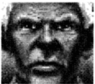 GAMES PC JAGGED ALLIANCE - PROFIL DES MERCENAIRES - 4