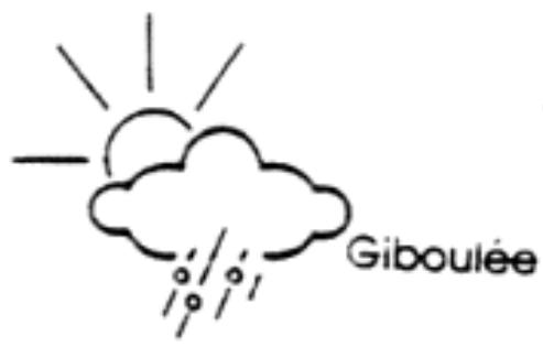 GAMES PC JEANNE D ARC - SYMBOLES METEOROLOGIQUES - 4