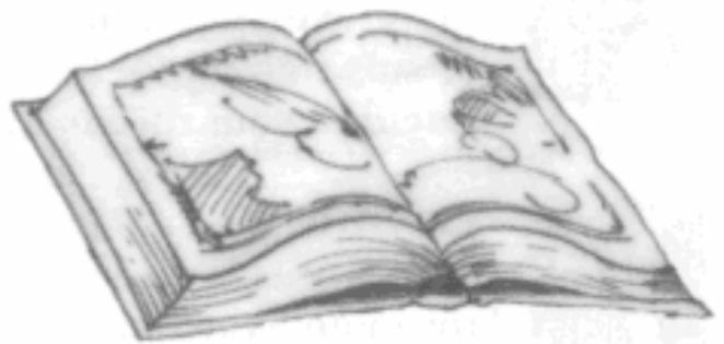 GAMES PC LANDS OF LORE-THE THRONE OF CHAOS - Utiliser un objet - 1