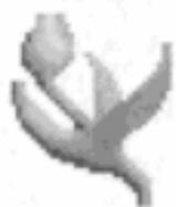 GAMES PC LANDS OF LORE-THE THRONE OF CHAOS - Soins - 1