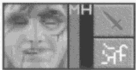 GAMES PC LANDS OF LORE-THE THRONE OF CHAOS - Blessures &amp; Récupération - 2