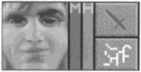 GAMES PC LANDS OF LORE-THE THRONE OF CHAOS - Portraits - 1