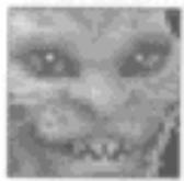 GAMES PC LANDS OF LORE-THE THRONE OF CHAOS - Choix d'un champion - 4