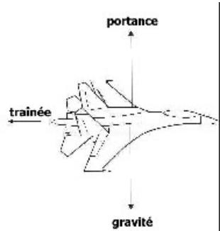 GAMES PC LOCK ON-MODERN AIR COMBAT - Portance, taux et rayon taux de virage - 2