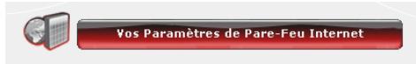 HERCULES HWNR-300 - Pourmettre en ligne sa camera ou autoriser l'acces a un ou plusieurs de vos ordinateurs pour des services Internet spécifiques (mode manuel) : - 1