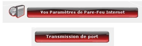 HERCULES HWNR-300 - Pourmettre en ligne sa camera ou autoriser l'acces a un ou plusieurs de vos ordinateurs pour des services Internet spécifiques (mode automatique)： - 1