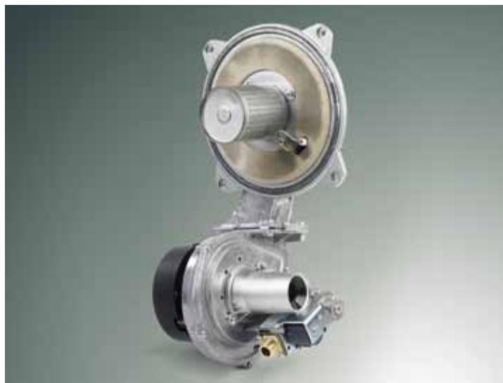 VAILLANT ECOTEC PLUS - De l'eau chaude à température constante - 1
