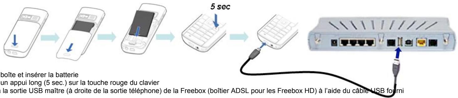 FREE GSM WIFI (PIRELLI) - Téléphone dual band: guide de démarrage express - 1