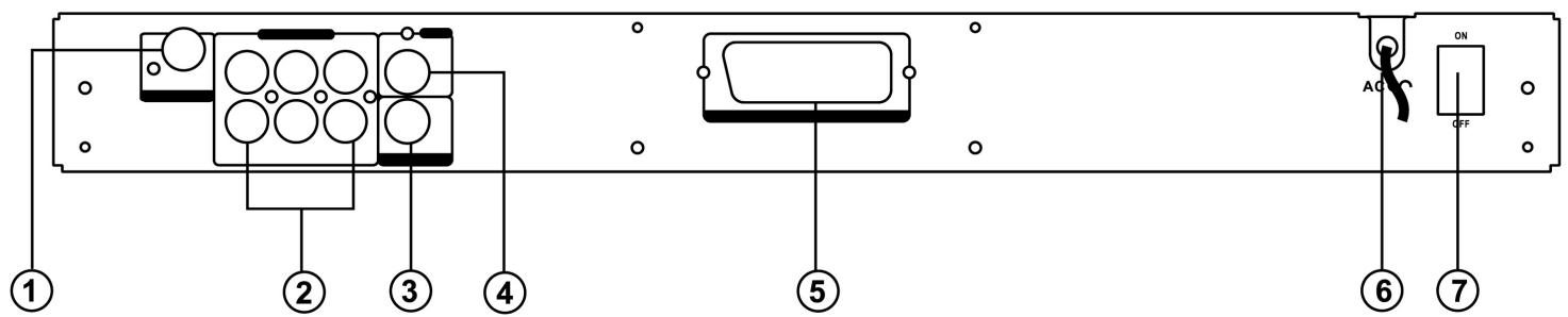 CLATRONIC DVD 592 - Rear Panel - 1