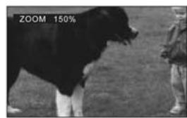 CLATRONIC DVD 613 - Picture Shrink/Zoom - 1