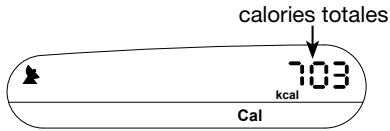 NAVMAN R300 - Mode Calories - 1