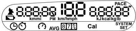 NAVMAN W300 - écran d'affichage - 1