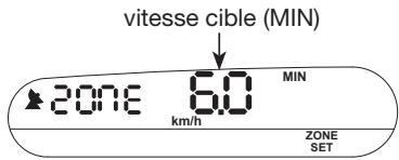 NAVMAN X300 - Zone (minimum) - 1