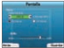 NAVMAN ICN320 - Preferencias de pantalla - 1