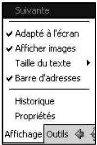 NAVMAN PIN570 - Utilisation des pages Web - 2