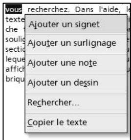 NAVMAN PIN570 - Annotation d'un livre électronique - 1