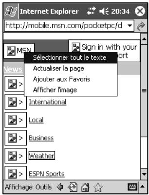 NAVMAN PIN570 - Utilisation des pages Web - 4