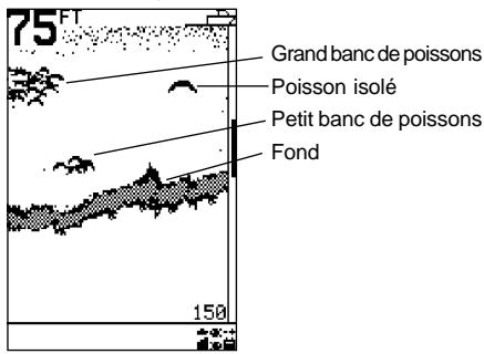 NAVMAN FISH 4100 - Arcs poisson - 2