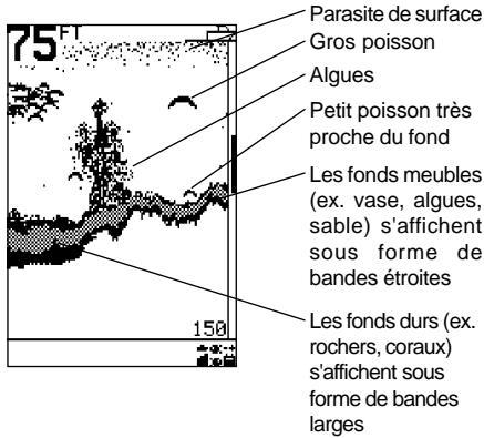 NAVMAN FISH 4100 - Arcs poisson - 3