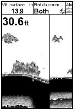 NAVMAN FISH 4433 - Ecran 200/83 kHz - 1