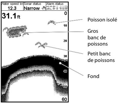 NAVMAN FISH 4433 - 4-1 Interprétation des données affichées à l'écran - 1