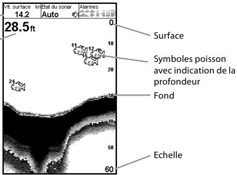 NAVMAN FISH 4433 - Menu Ecran - 2